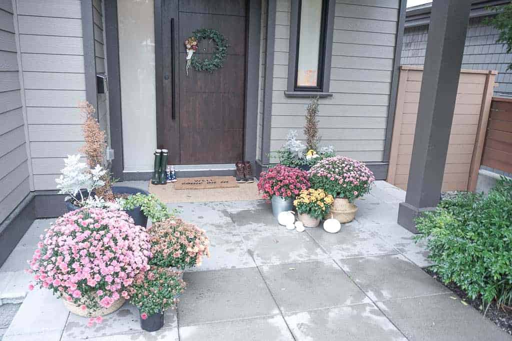 Signed Samantha's super simple fall front door decor tips include mums - six baskets of large, medium, and small sized ones are pictured, along with pumpkins, white ones pictured on the ground next to the mums, and wreaths, also pictured on the door.