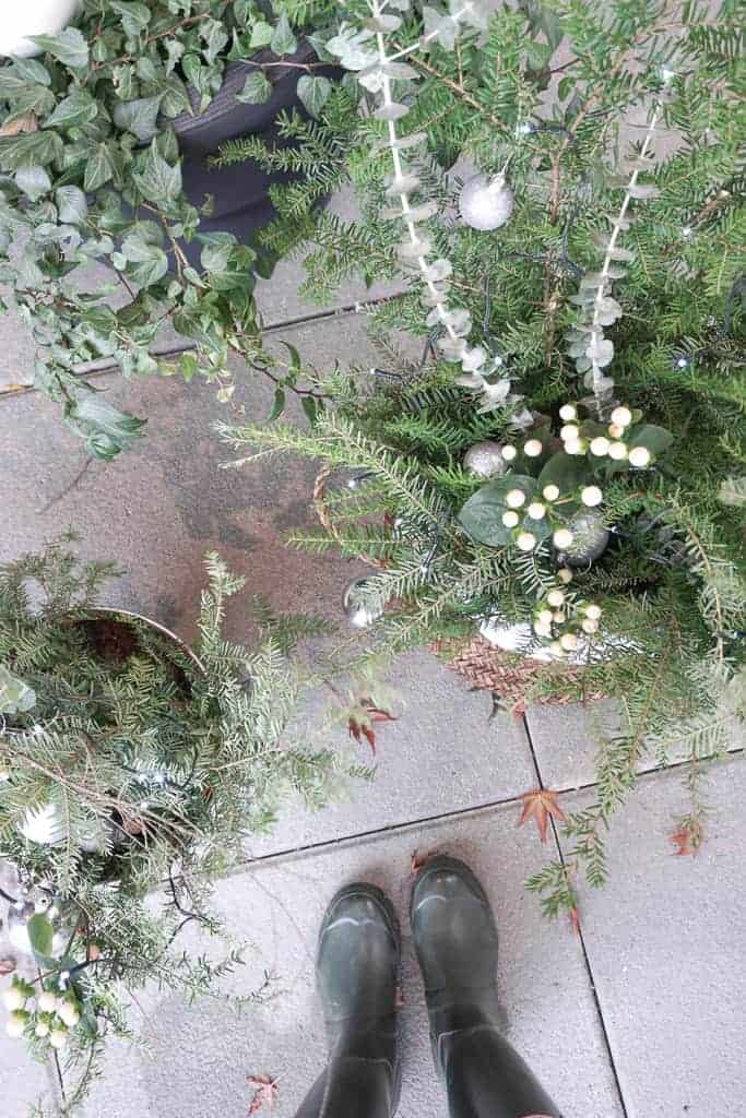 Signed Samantha shares her winter pot ideas with you. This one is an over head shot of three winter pots and her boots. They have cedars, eucalyptus, and festive berries in them