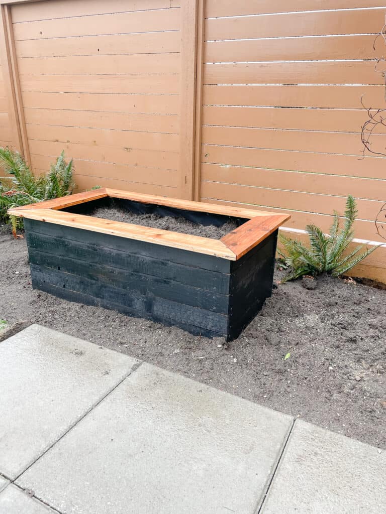 Garden box sitting outside in the garden bed. It is a black garden box with a non-painted cedar cap. Approx. 4 ft. long x 2 ft deep.