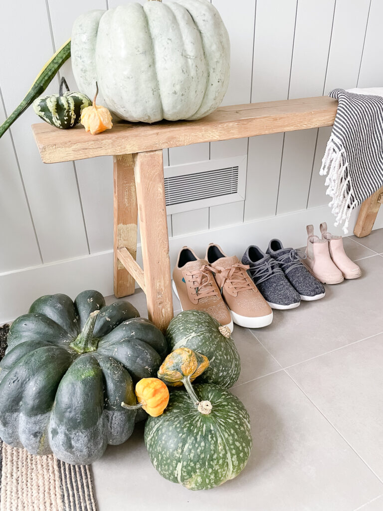 pumpkins pictured on a bench with several shoes lined up. The pumpkins are pastel green, deep green, and some smaller gourds