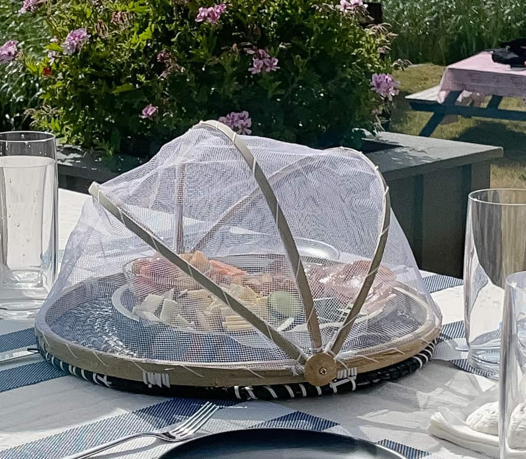 a food net with a charcuterie platter outside for entertaining outdoors